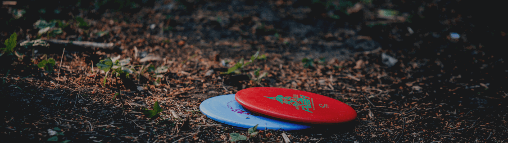 disku golfa diski mežā uz zemes